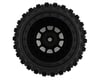 JConcepts Magma Pre-Mounted Monster Truck Tires w/Hazard Wheel (Black) (2) (Platinum)