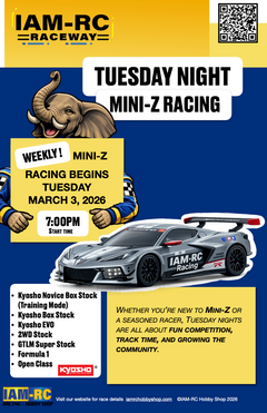 Tuesday Night Mini-Z Racing