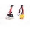 PN Racing XT60 Plug To XH Plug x3 Parallel Charging Cable