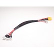 PN Racing XT60 Plug To XH Plug x3 Parallel Charging Cable
